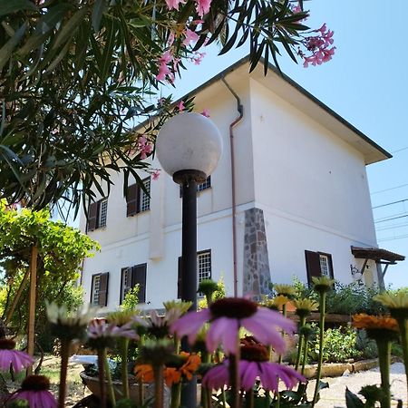 La Domus Di Cosa Acomodação com café da manhã Ansedónia Exterior foto