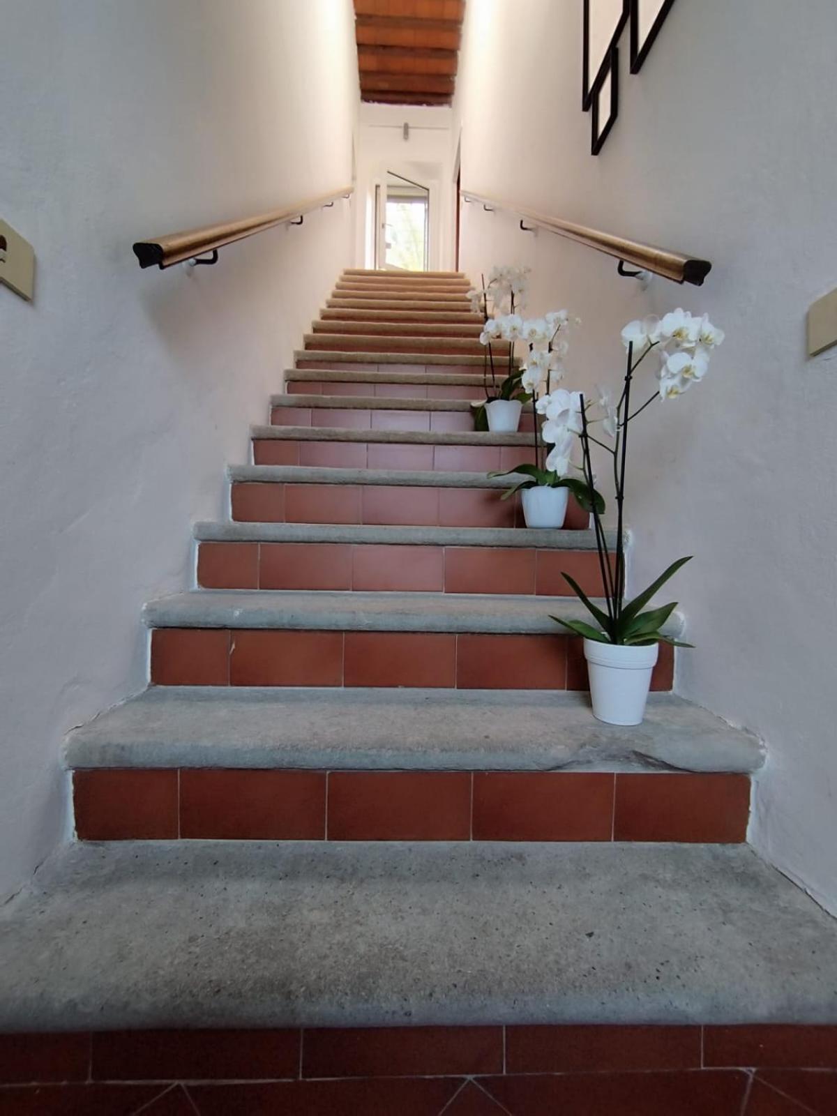 La Domus Di Cosa Acomodação com café da manhã Ansedónia Exterior foto